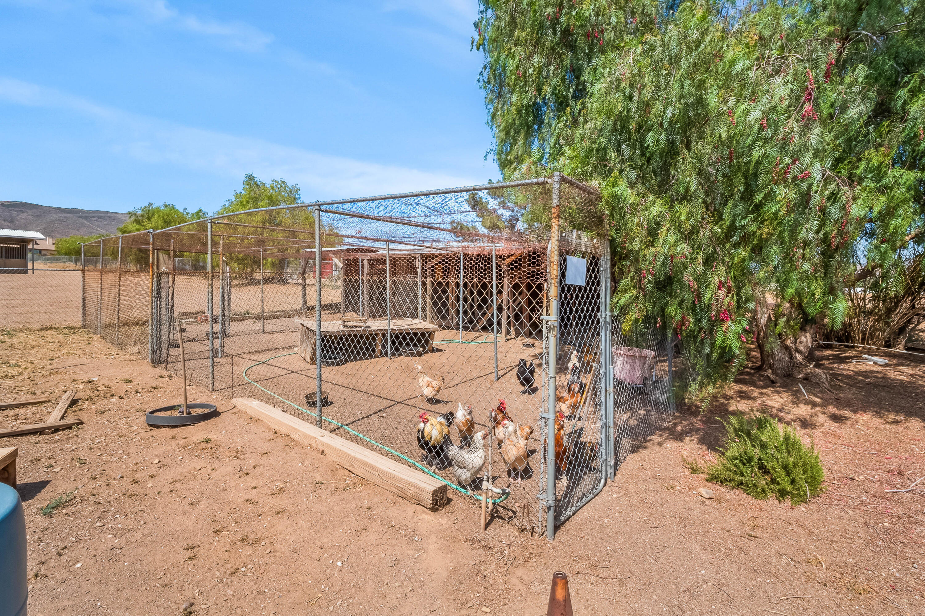 35326 Wyse Road Agua Dulce, CA 91390 - Photo 45 of 54 Wyse Rd-45