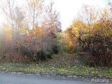 0 Pippen Drive Romeo, MI 48065 - Photo 2 of 6 1.jpg