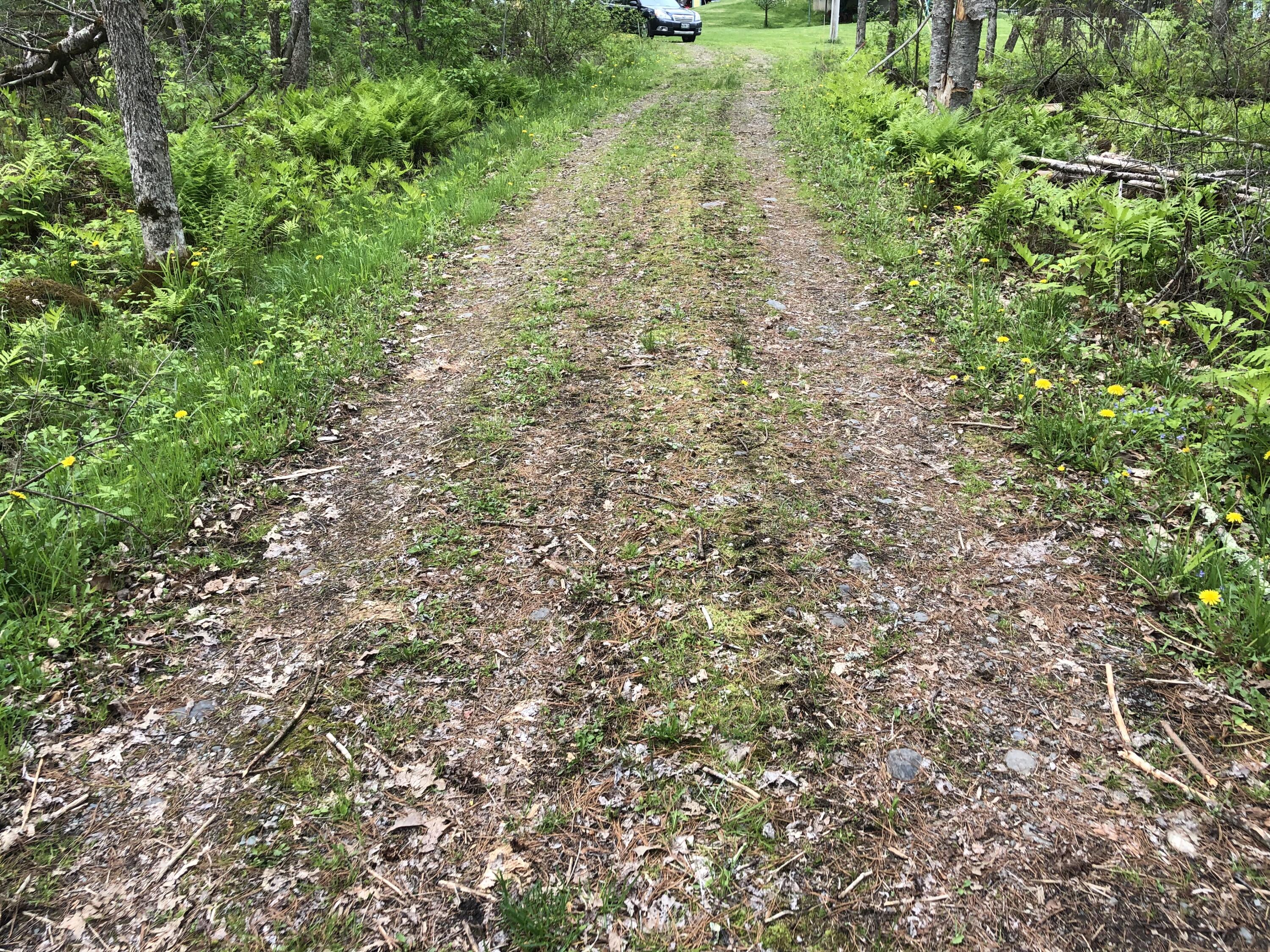 80 Garcelon Road Burnham, ME 04922 - Photo 36 of 36 DA54FC98-F200-4B71-8739-7E02C76B454E