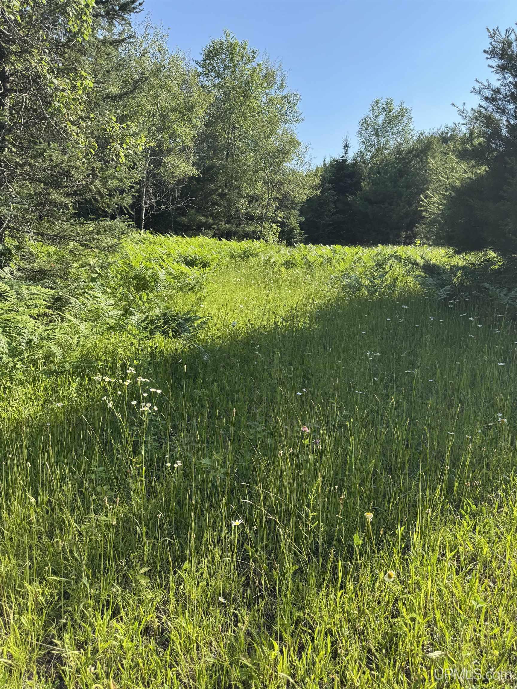 601 Rd Republic Mi 49879 Road Republic, MI 49879 - Photo 2 of 13
