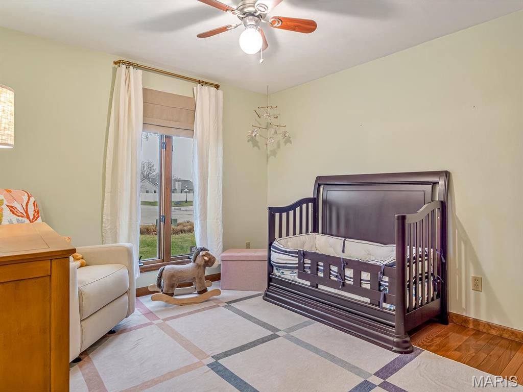 435 Paul Drive Waterloo, IL 62298 - Photo 17 of 30