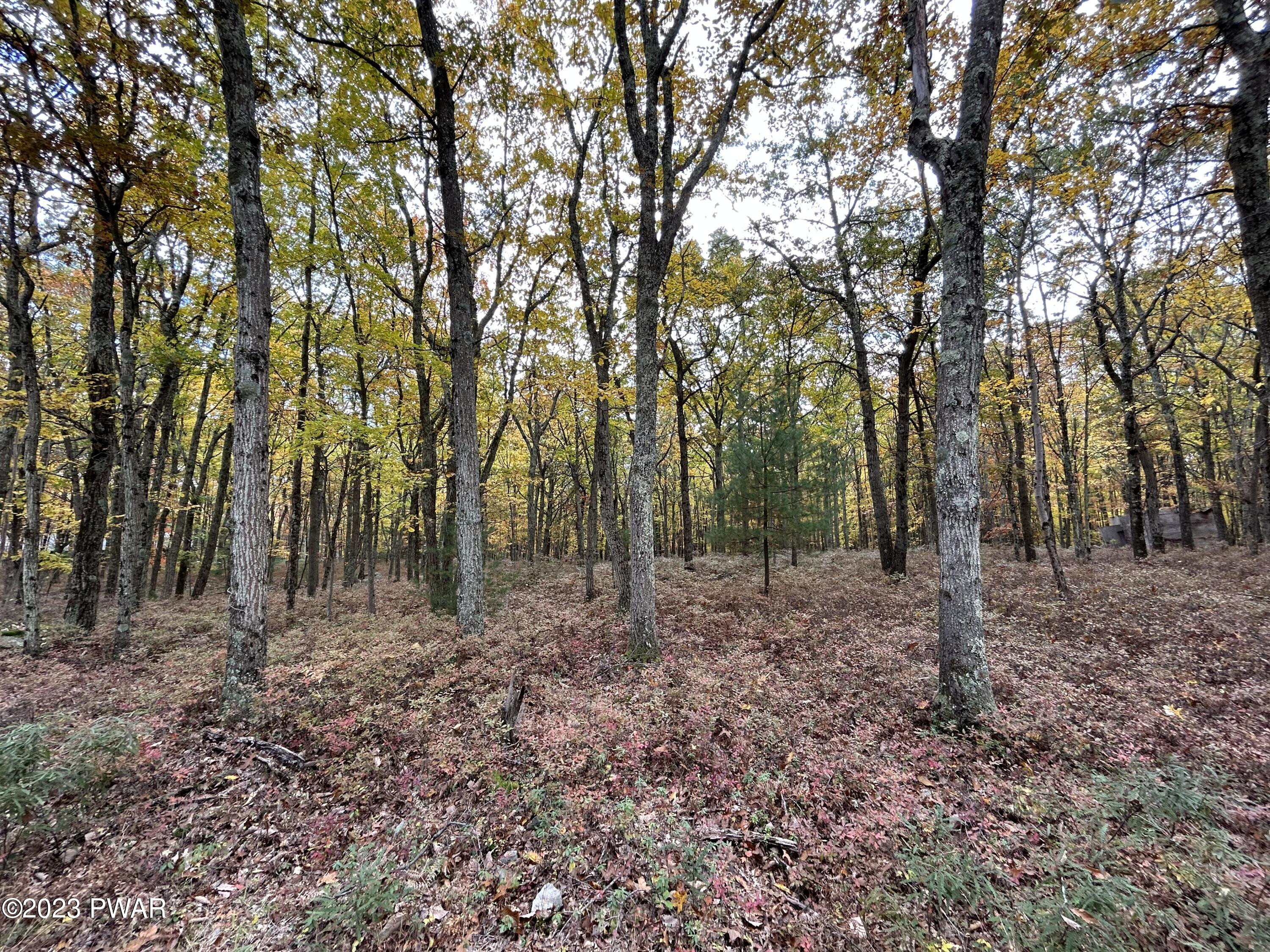 Lot 26 Timber Ridge Drive Hawley, PA 18428 - Photo 5 of 18
