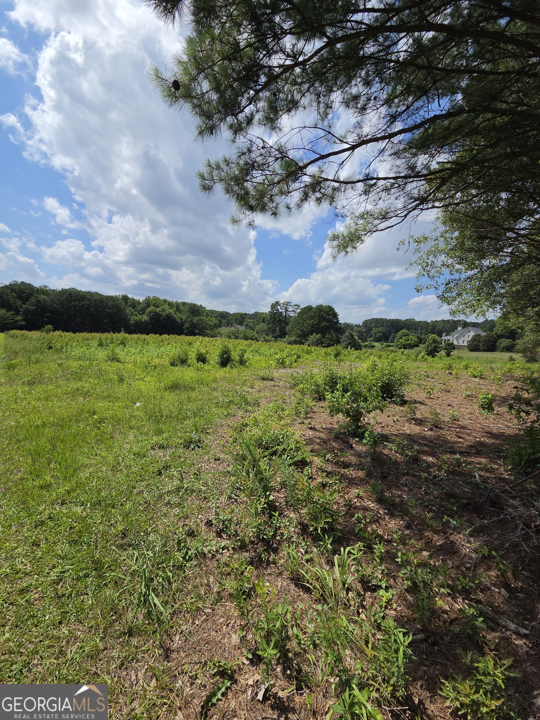 0 Trickum Creek Road Tyrone, GA 30290 - Photo 4 of 9