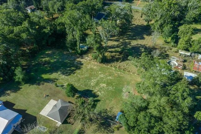 an aerial view of green landscape with trees houses and mountain view