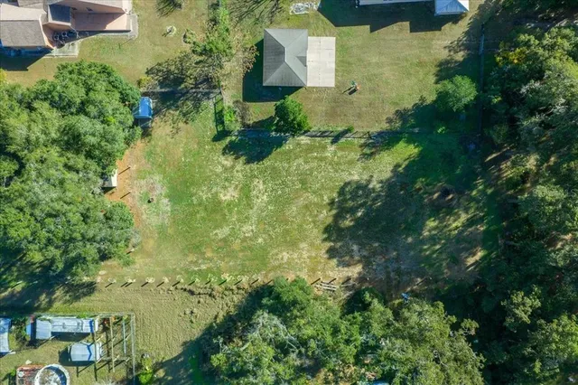 a view of a city with lush green forest