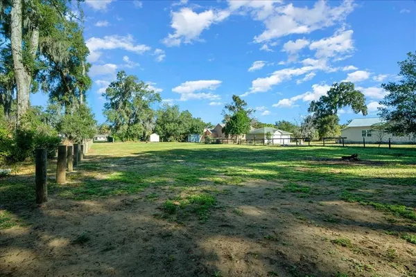 a view of a field with trees