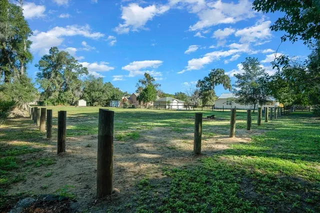 a view of a garden with a slide