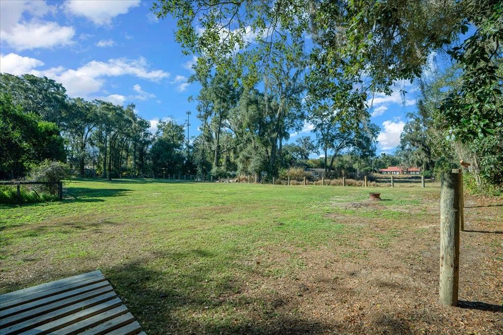 2026 Northeast 97th Street Road Anthony, FL 32617 - Photo 7 of 20 a view of a field with trees