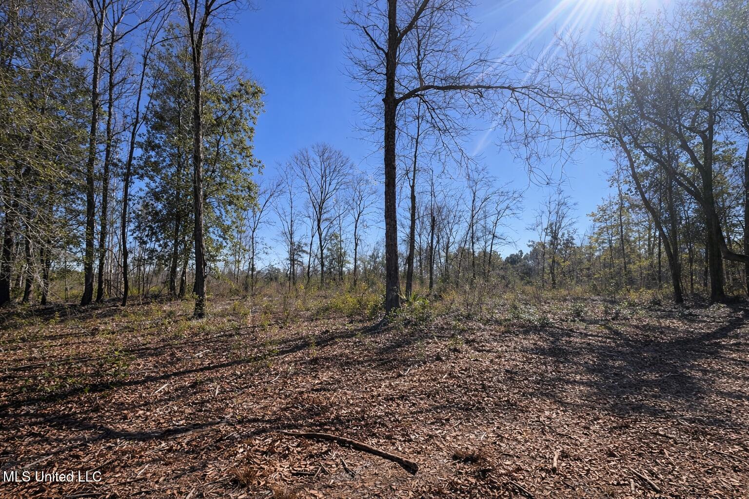 6 A Standard Cemetery Road Kiln, MS 39556 - Photo 4 of 9 27088E70-5CE3-4BFF-AFB8-F93A3A9A1B1E