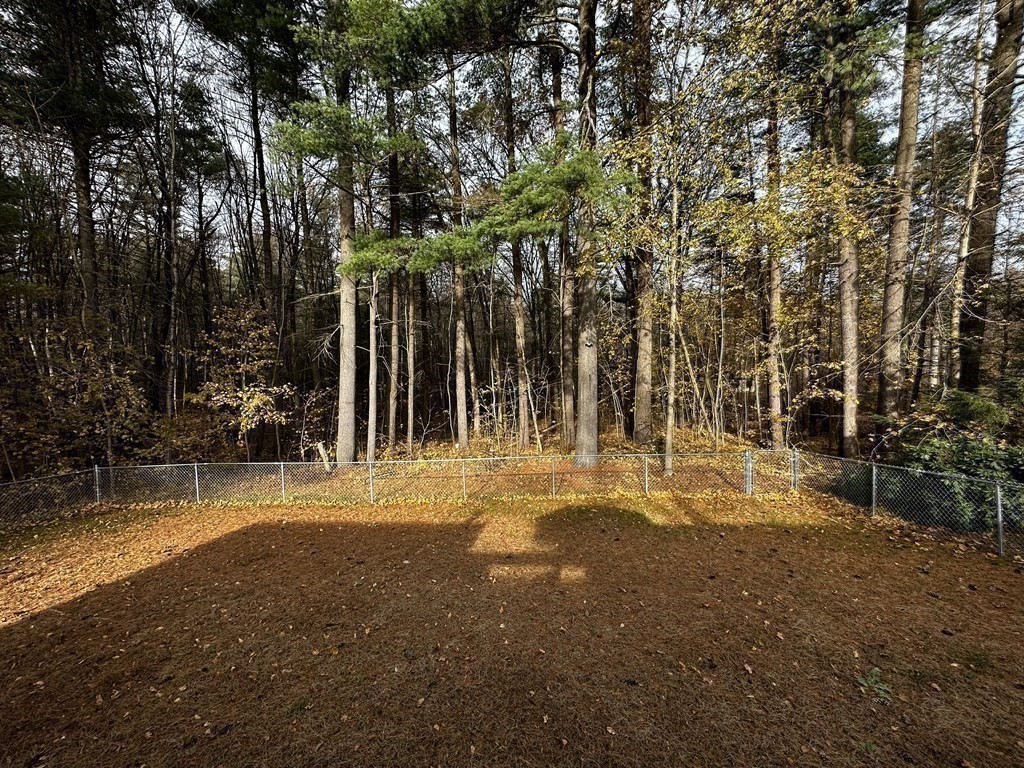 174 Chudy Street Three Rivers, MA 01080 - Photo 31 of 31 a view of back yard of the house with trees