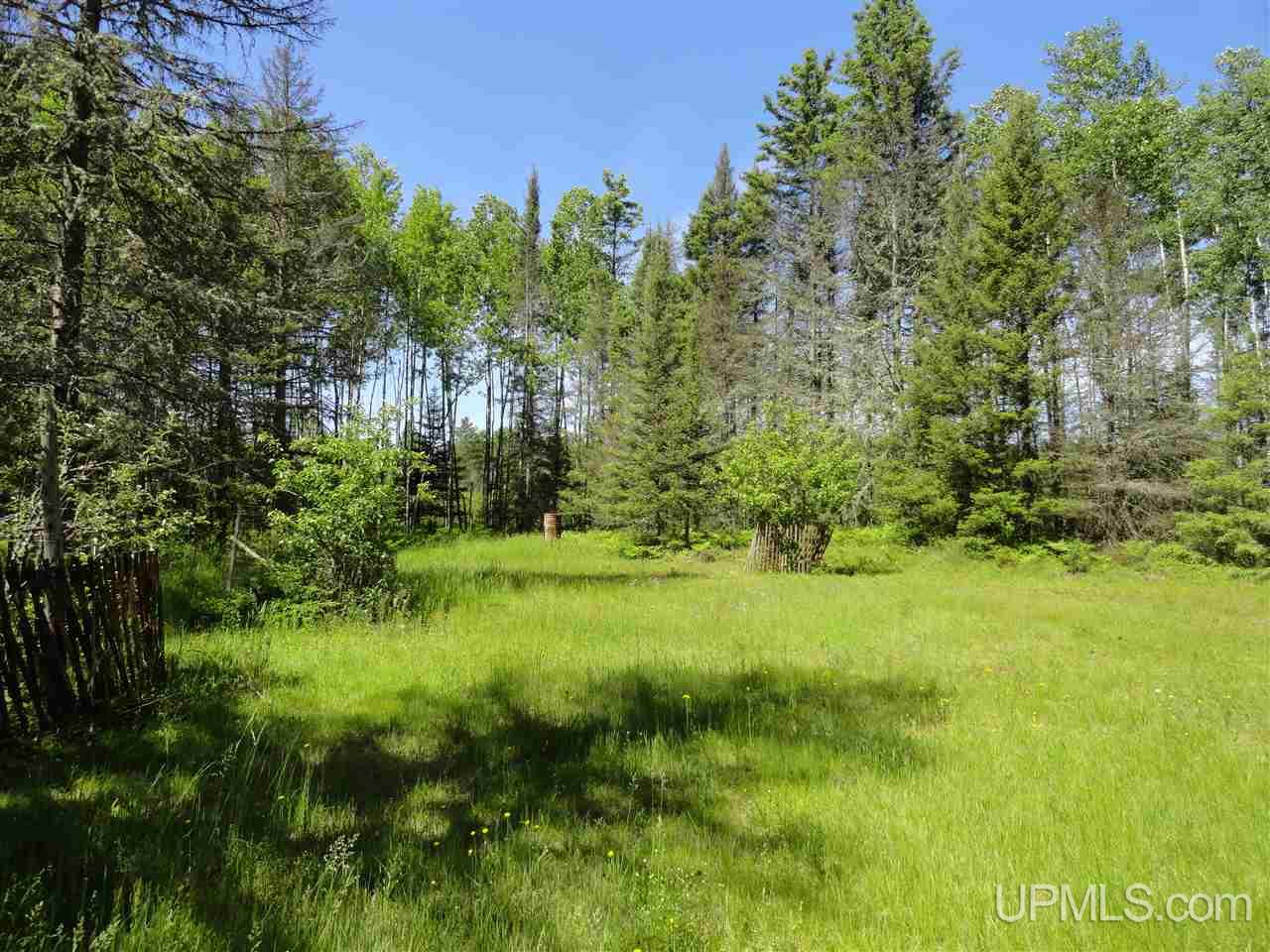 11 Co Road Felch, MI 49831 - Photo 32 of 36