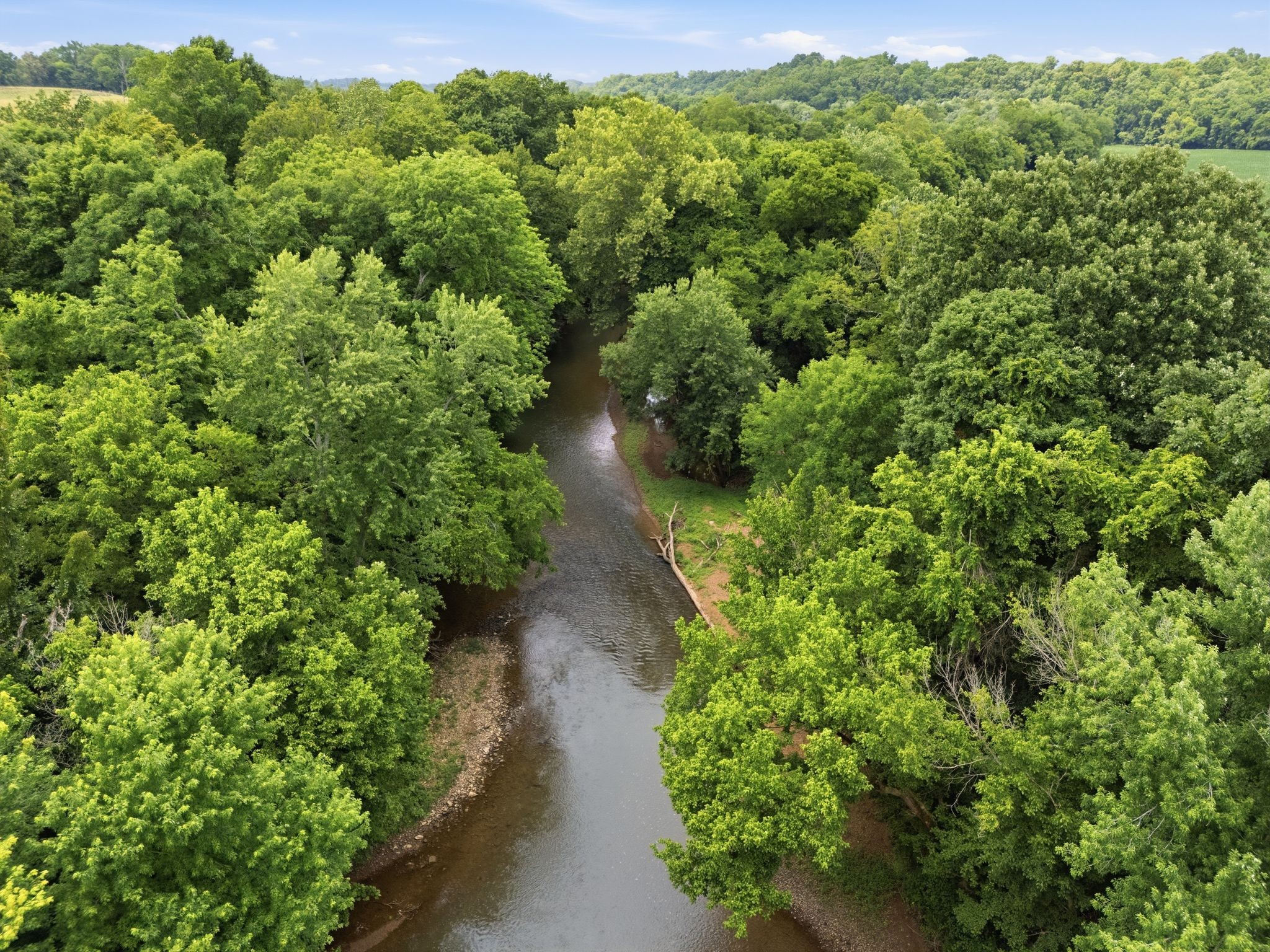 2214 Trieste Trail Adams, TN 37010 - Photo 88 of 89
