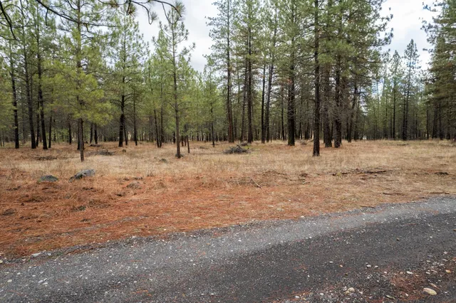 $689,000 | 52282 Woods Lane East, Ford, WA 99013