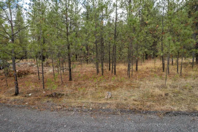 $689,000 | 52282 Woods Lane East, Ford, WA 99013