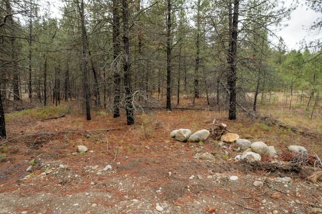 $689,000 | 52282 Woods Lane East, Ford, WA 99013