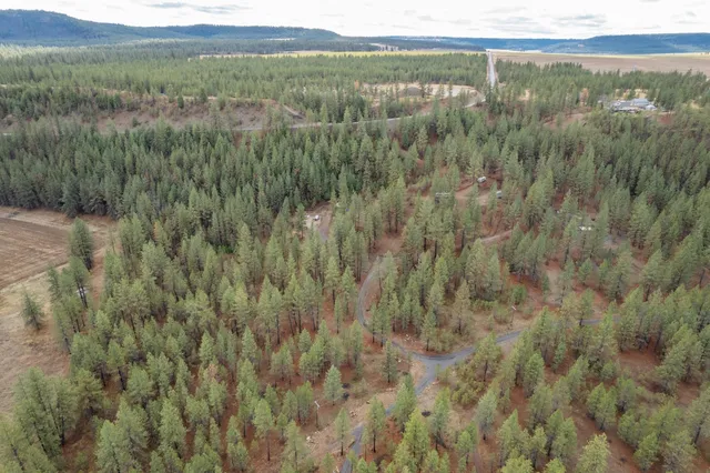 $689,000 | 52282 Woods Lane East, Ford, WA 99013