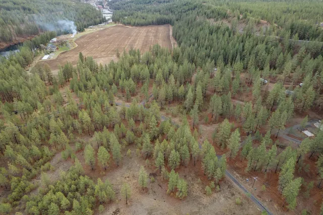 $689,000 | 52282 Woods Lane East, Ford, WA 99013