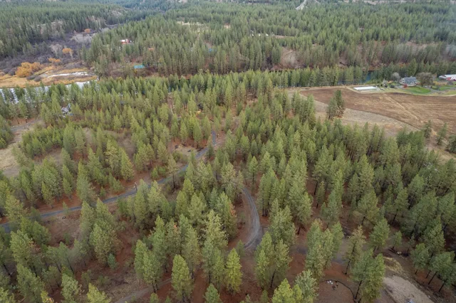 $689,000 | 52282 Woods Lane East, Ford, WA 99013