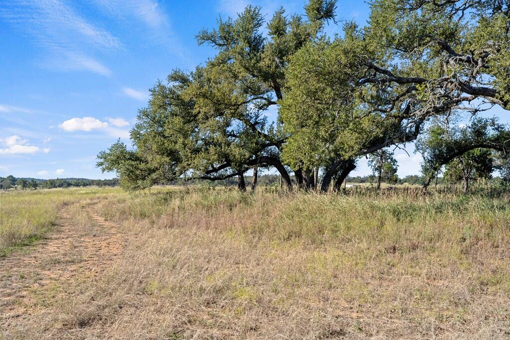 307 Gold-Schaefer Road Fredericksburg, TX 78624 - Photo 11 of 25 Gallery Image 11