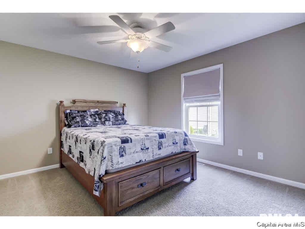 4512 Castle Pines Drive Springfield, IL 62711 - Photo 21 of 29 Gallery Image 21