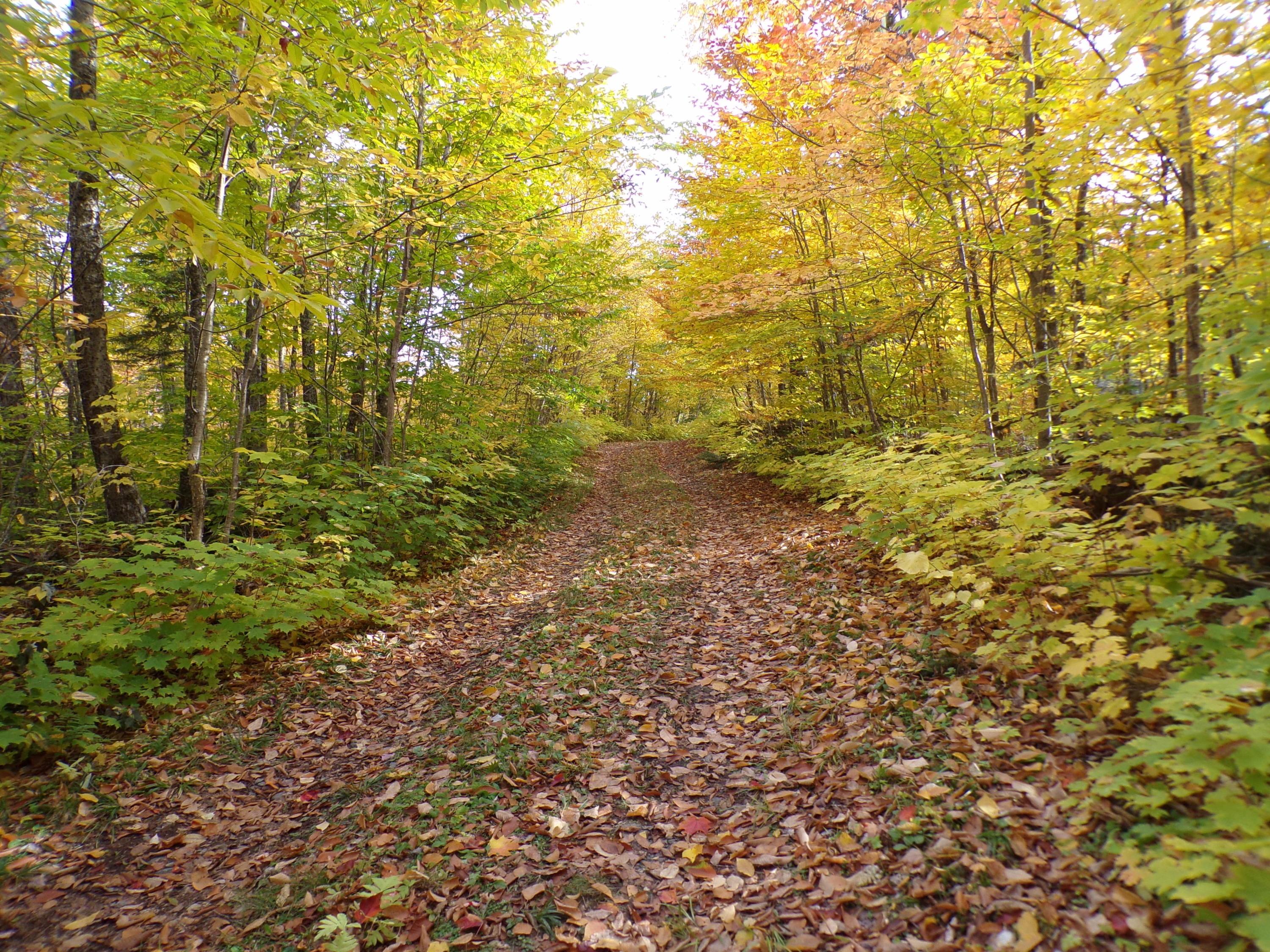 999 Sugar Berth Road Oxbow, ME 04764 - Photo 55 of 59 102_0401