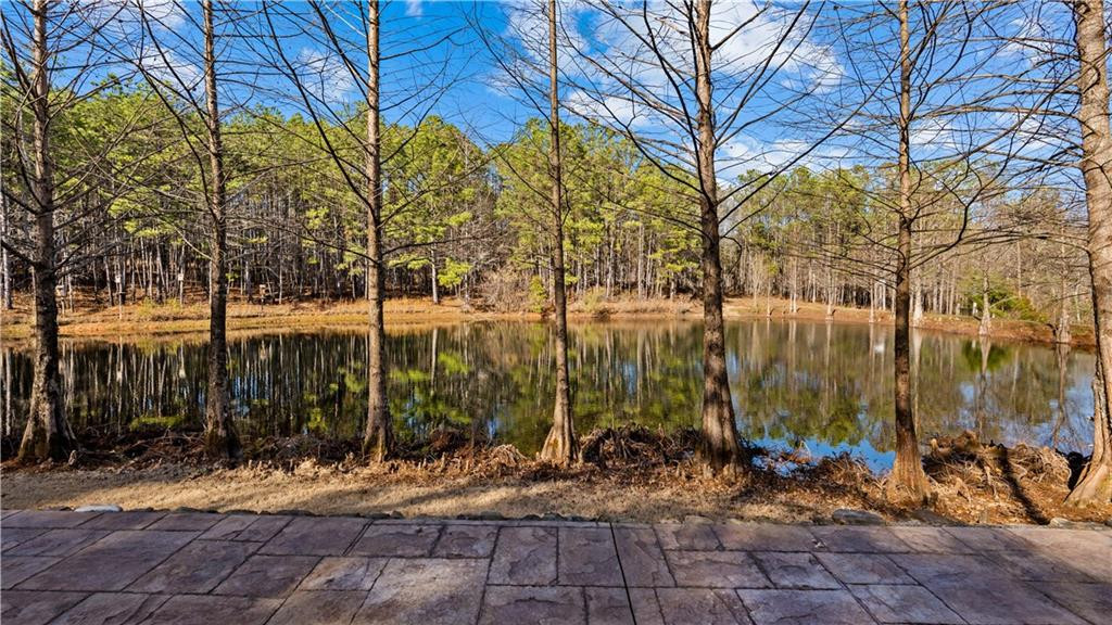 877 McKee Road Waverly Hall, GA 31831 - Photo 50 of 70