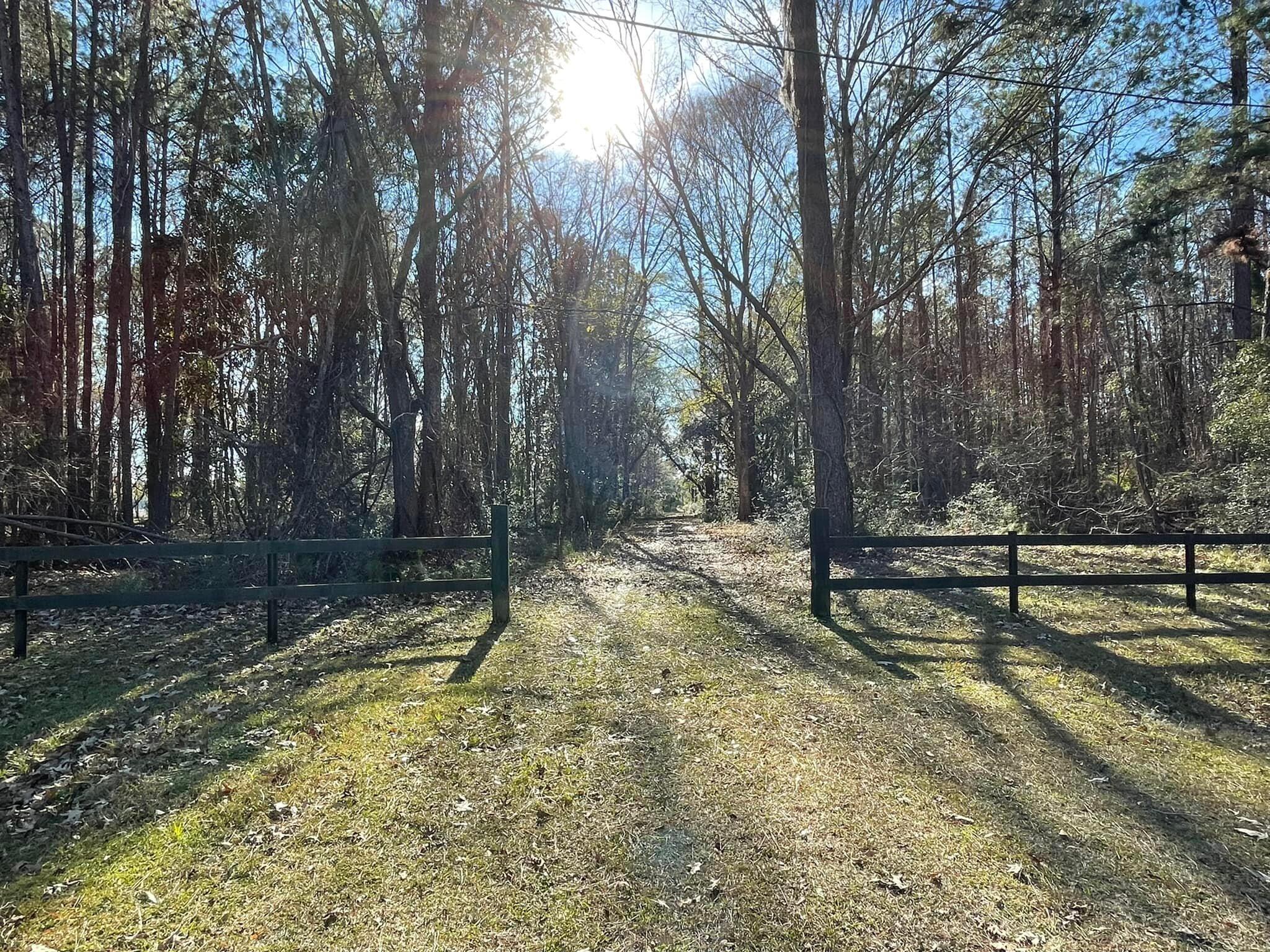 0 Lord Proprietors Road Meggett, SC 29449 - Photo 54 of 63 Belle Vista lake 2 gate