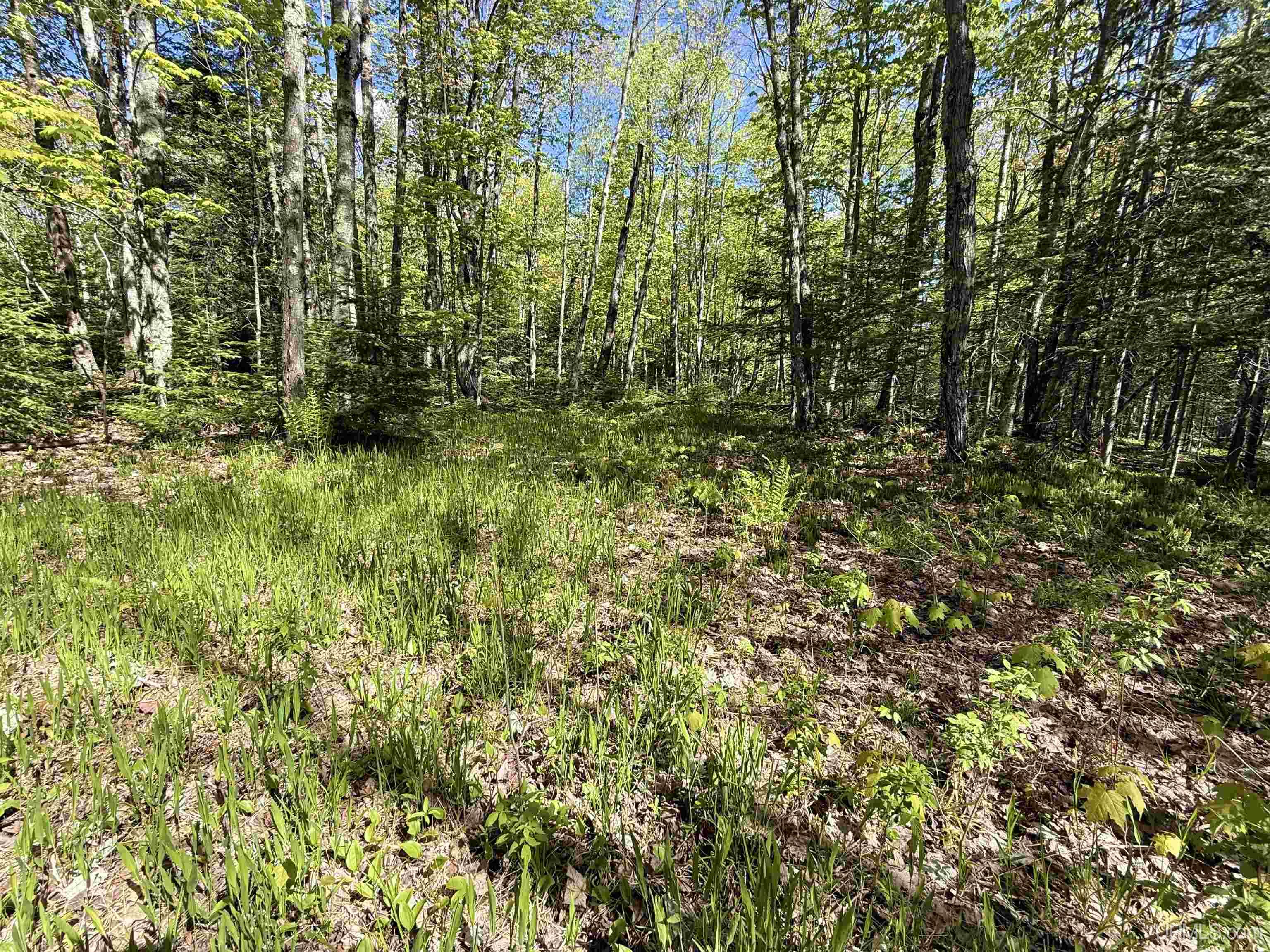 Langford Lake Road Watersmeet, MI 49969 - Photo 12 of 23