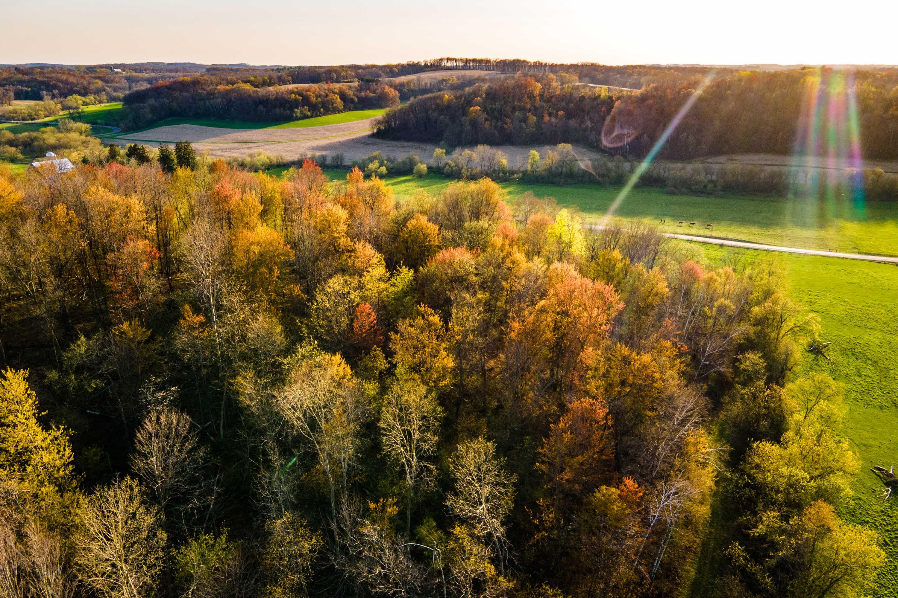 Lt1 Eli Valley Road Loganville, WI 53943 - Photo 8 of 66 Sauk-County-WI-90-Acres-Land-For-Sale-9