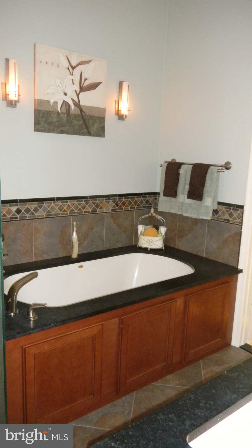 13303 Query Mill Road North Potomac, MD 20878 - Photo 22 of 30 Bath (Master) View 2