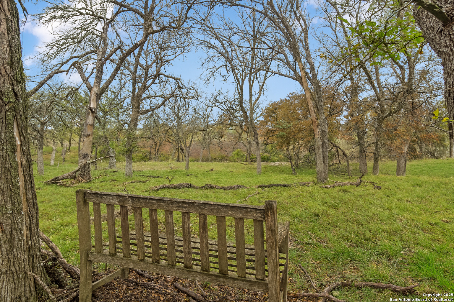247 Center Point Drive East Center Point, TX 78010 - Photo 78 of 87
