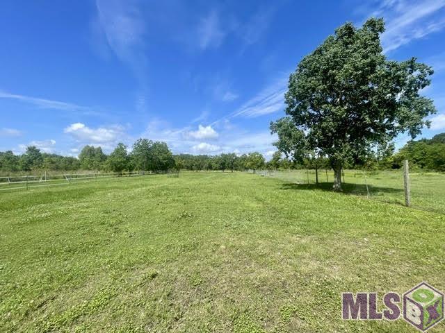 206 Back Project Road Schriever, LA 70395 - Photo 35 of 38