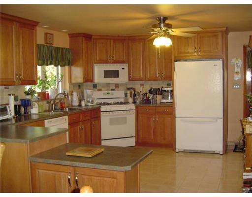 46 Swallow Hill Road Carnegie, PA 15106 - Photo 8 of 13 Kitchen.