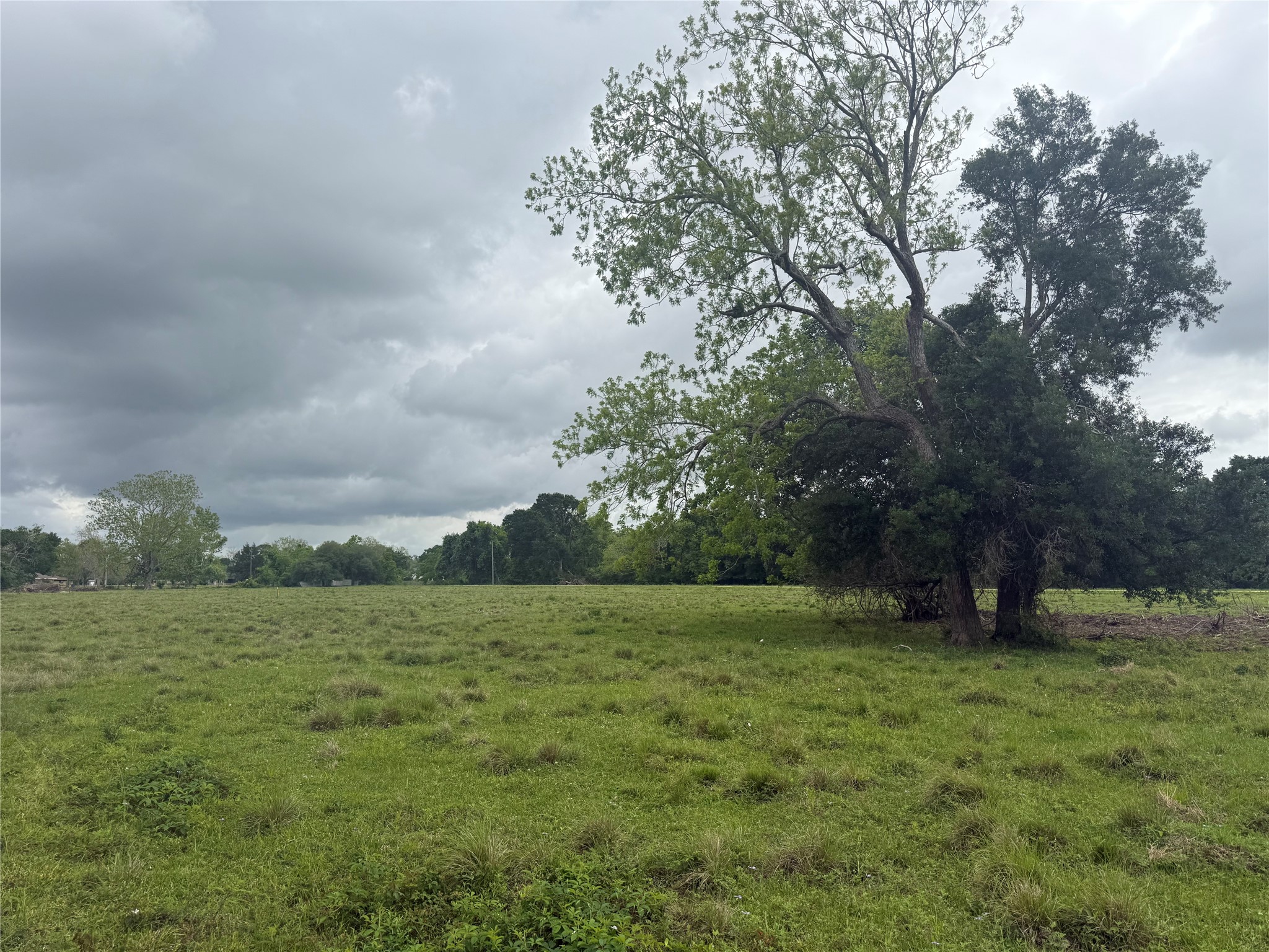 6827 Bryan Road Freeport, TX 77541 - Photo 5 of 7