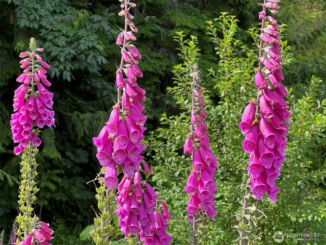 $374,950 | 262 Break View Road, Port Angeles, WA 98363