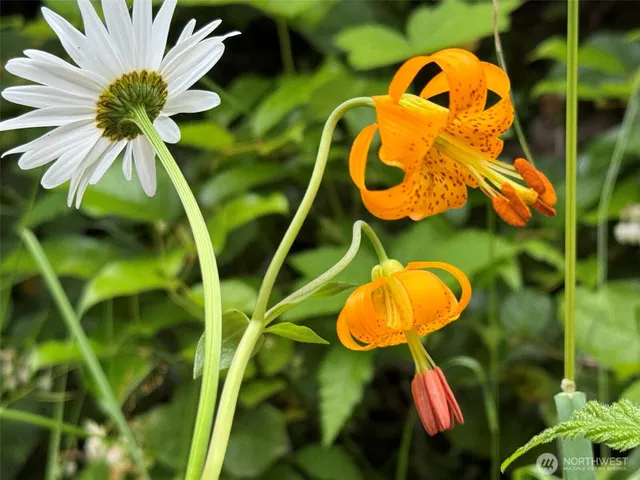 $374,950 | 262 Break View Road, Port Angeles, WA 98363