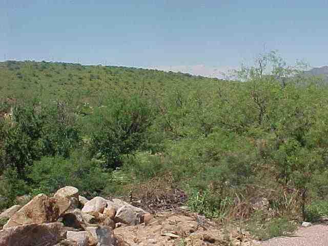 1705 Ave Calamar Rio Rico, AZ 85648 - Photo 4 of 4