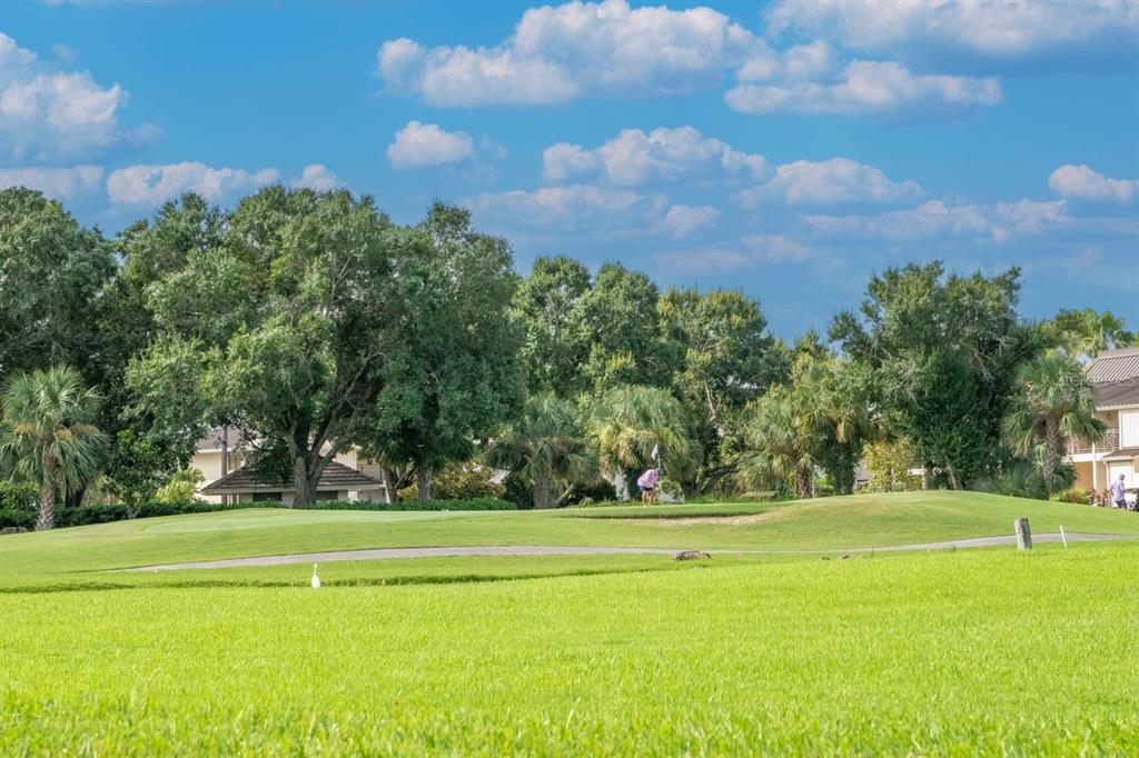 4947 Mill Pond Road, Unit 3104/3106 Wesley Chapel, FL 33543 - Photo 28 of 31