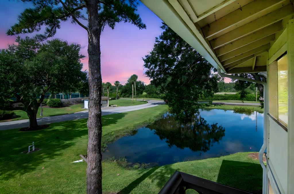 4947 Mill Pond Road, Unit 3104/3106 Wesley Chapel, FL 33543 - Photo 30 of 31