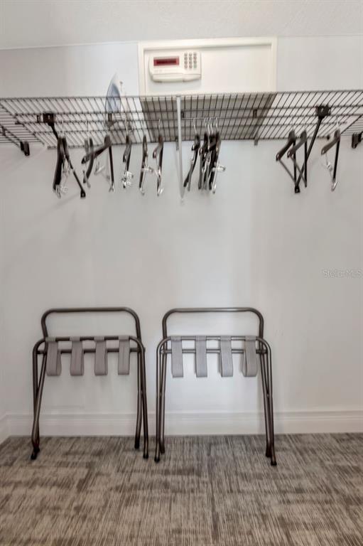 4947 Mill Pond Road, Unit 3104/3106 Wesley Chapel, FL 33543 - Photo 35 of 64