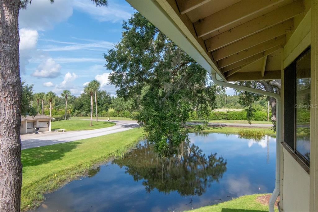 4947 Mill Pond Road, Unit 3104/3106 Wesley Chapel, FL 33543 - Photo 47 of 64