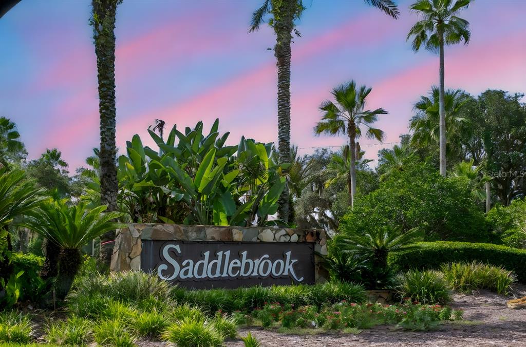 4947 Mill Pond Road, Unit 3104/3106 Wesley Chapel, FL 33543 - Photo 7 of 64