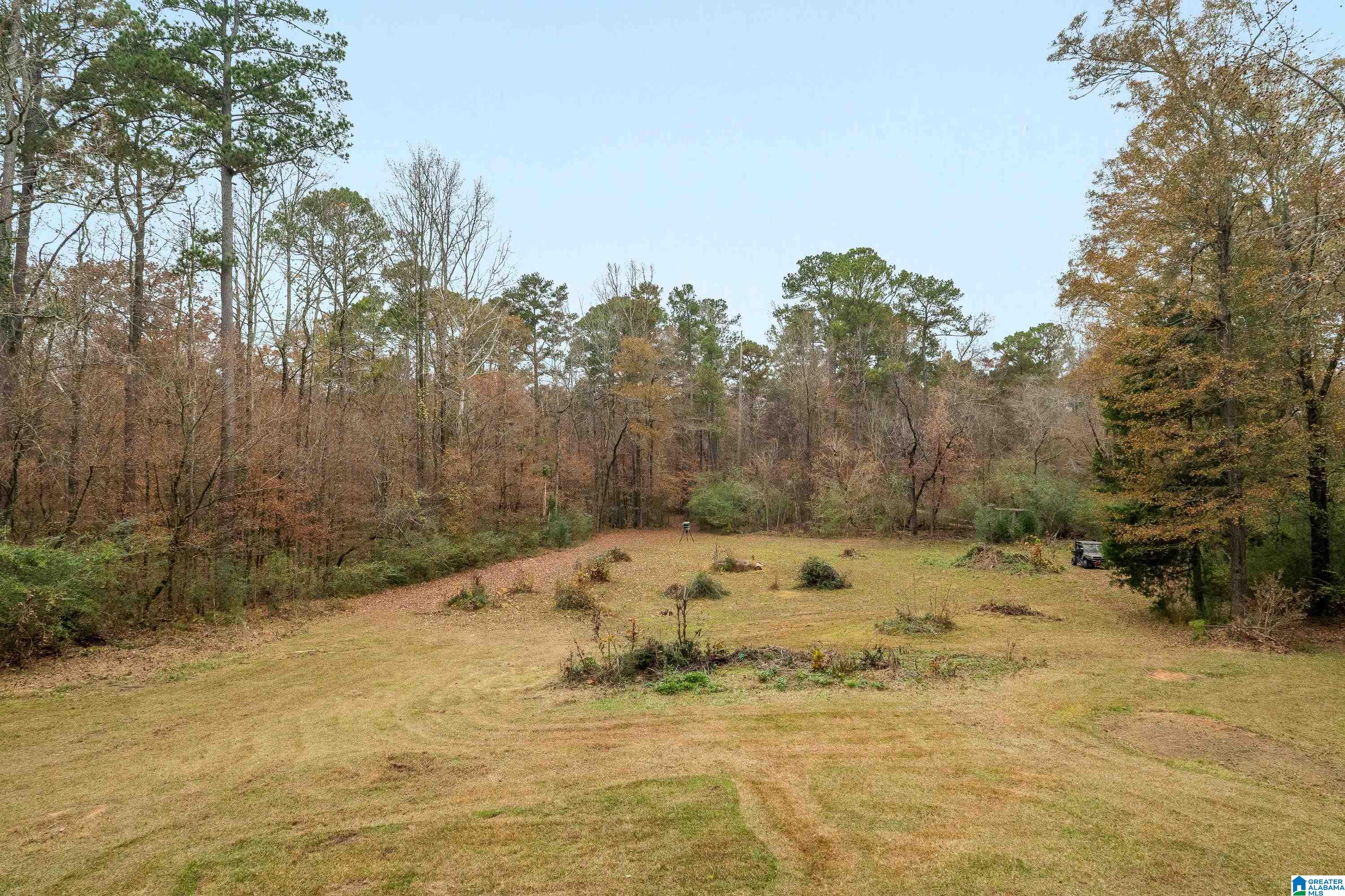 2320 Montevallo Road Southwest Leeds, AL 35094 - Photo 47 of 62