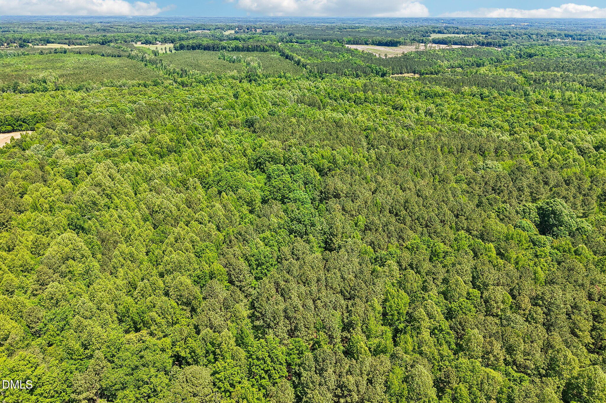 2957 North Old Franklin Road Spring Hope, NC 27882 - Photo 5 of 5 7-web-or-mls-N Old Franklin Rd-S0605-007