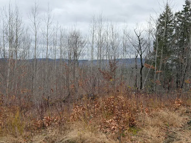 $169,000 | M5-l27 Pond Road, Abbot, ME 04406