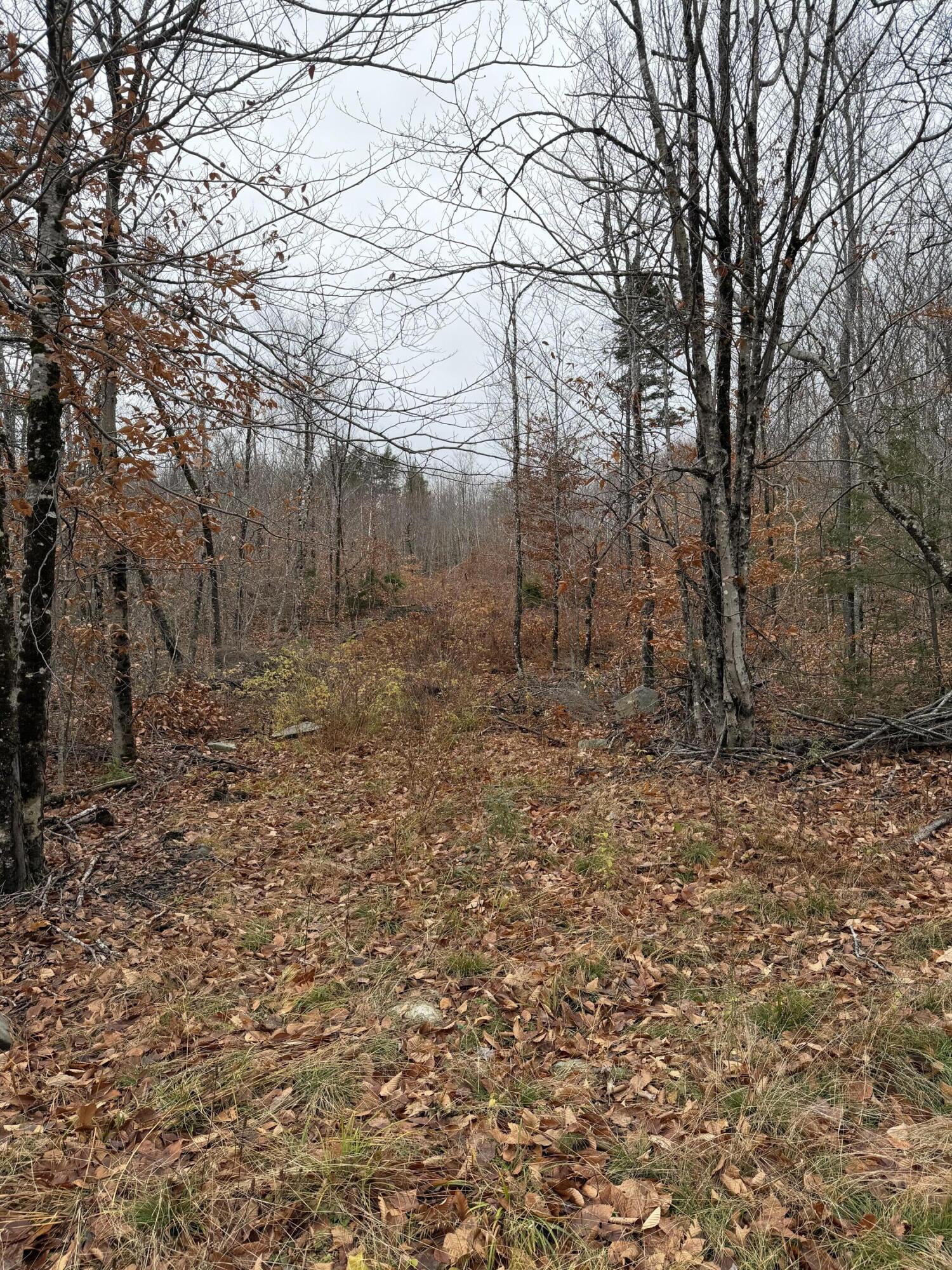 M5-l27 Pond Road Abbot, ME 04406 - Photo 13 of 15 IMG_1588