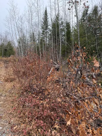 $129,900 | M5-l27 Pond Road, Abbot, ME 04406