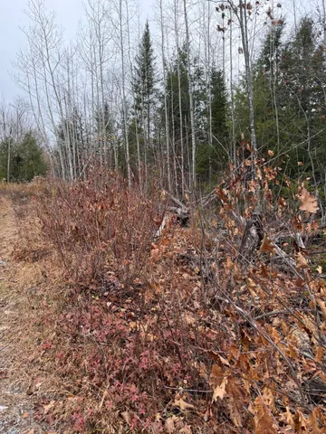 $169,000 | M5-l27 Pond Road, Abbot, ME 04406