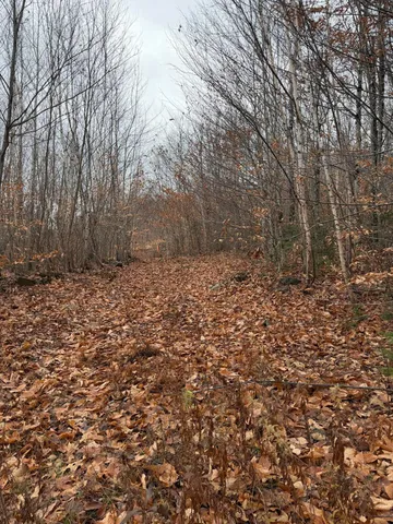 $169,000 | M5-l27 Pond Road, Abbot, ME 04406