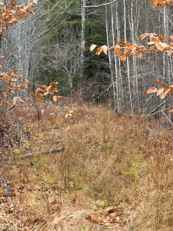 $129,900 | M5-l27 Pond Road, Abbot, ME 04406
